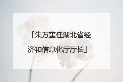 朱万奎任湖北省经济和信息化厅厅长