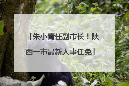 朱小青任副市长！陕西一市最新人事任免