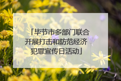毕节市多部门联合开展打击和防范经济犯罪宣传日活动