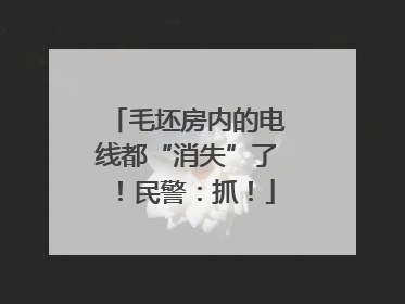 毛坯房内的电线都“消失”了！民警：抓！