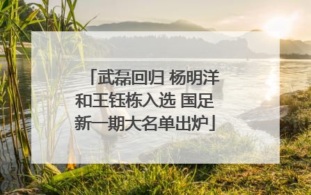 武磊回归 杨明洋和王钰栋入选 国足新一期大名单出炉