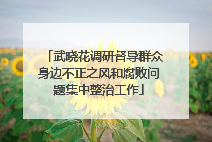 武晓花调研督导群众身边不正之风和腐败问题集中整治工作
