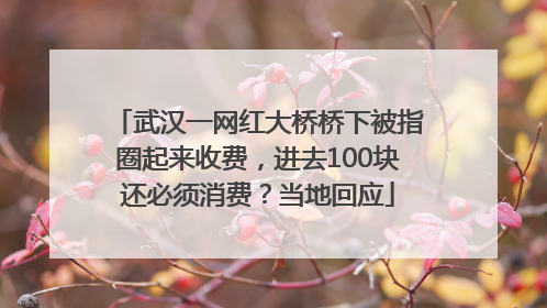 武汉一网红大桥桥下被指圈起来收费，进去100块还必须消费？当地回应