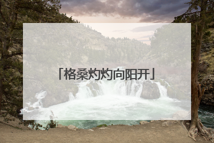 格桑灼灼向阳开