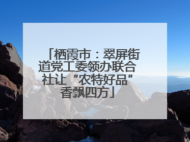 栖霞市：翠屏街道党工委领办联合社让“农特好品”香飘四方
