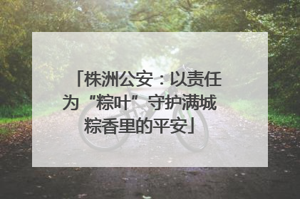 株洲公安：以责任为“粽叶”守护满城粽香里的平安