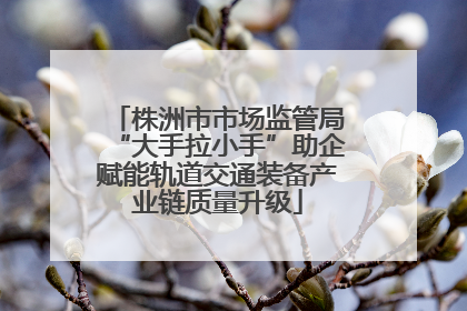 株洲市市场监管局“大手拉小手”助企赋能轨道交通装备产业链质量升级