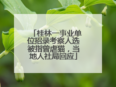 桂林一事业单位招录考察人选被指曾虐猫，当地人社局回应