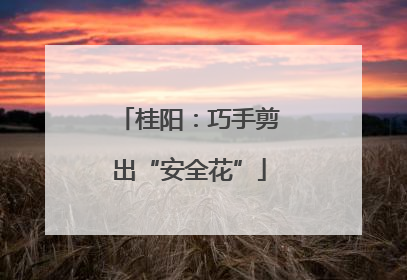 桂阳：巧手剪出“安全花”