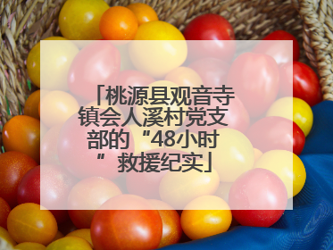 桃源县观音寺镇会人溪村党支部的“48小时”救援纪实