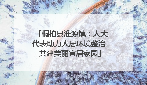 桐柏县淮源镇：人大代表助力人居环境整治 共建美丽宜居家园