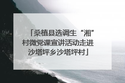 桑植县选调生“湘”村微党课宣讲活动走进沙塔坪乡沙塔坪村