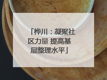 桦川：凝聚社区力量 提高基层整理水平