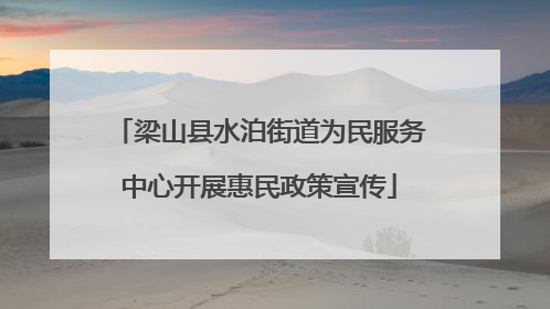梁山县水泊街道为民服务中心开展惠民政策宣传
