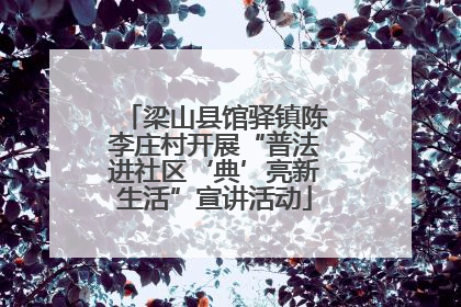 梁山县馆驿镇陈李庄村开展“普法进社区‘典’亮新生活”宣讲活动