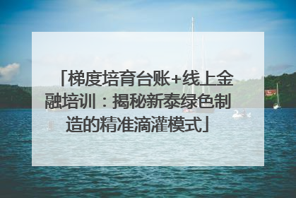 梯度培育台账+线上金融培训：揭秘新泰绿色制造的精准滴灌模式