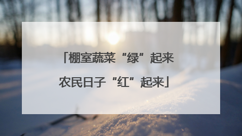 棚室蔬菜“绿”起来 农民日子“红”起来