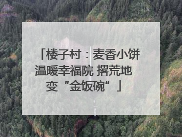楼子村：麦香小饼温暖幸福院 撂荒地变“金饭碗”