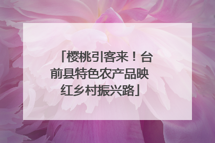 樱桃引客来！台前县特色农产品映红乡村振兴路