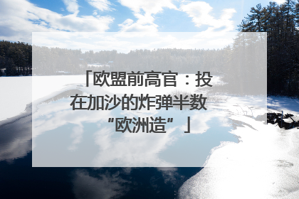 欧盟前高官：投在加沙的炸弹半数“欧洲造”
