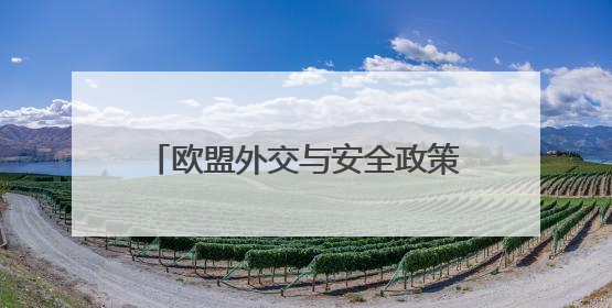 欧盟外交与安全政策高级代表与伊朗外长通话 讨论当前局势