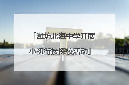 潍坊北海中学开展小初衔接探校活动