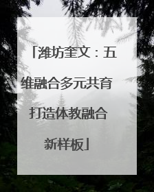 潍坊奎文：五维融合多元共育 打造体教融合新样板
