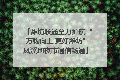 潍坊联通全力护航“万物向上·更好潍坊”凤溪地夜市通信畅通