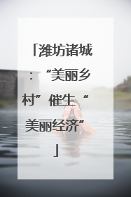 潍坊诸城：“美丽乡村”催生“美丽经济”