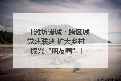 潍坊诸城：跨区域党建联建 扩大乡村振兴“朋友圈”