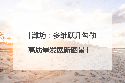 潍坊：多维跃升勾勒高质量发展新图景