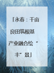 永春：千亩良田筑根基 产业融合绘“丰”景