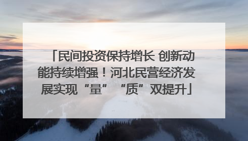 民间投资保持增长 创新动能持续增强！河北民营经济发展实现“量”“质”双提升