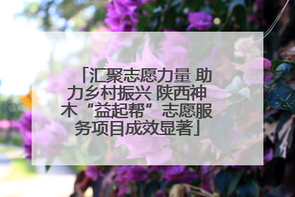 汇聚志愿力量 助力乡村振兴 陕西神木“益起帮”志愿服务项目成效显著