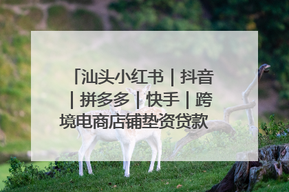 汕头小红书｜抖音｜拼多多｜快手｜跨境电商店铺垫资贷款企业-漫商易