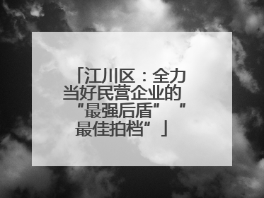 江川区：全力当好民营企业的“最强后盾”“最佳拍档”