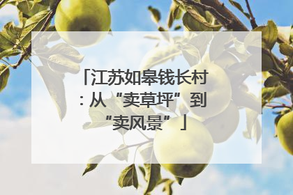 江苏如皋钱长村：从“卖草坪”到“卖风景”