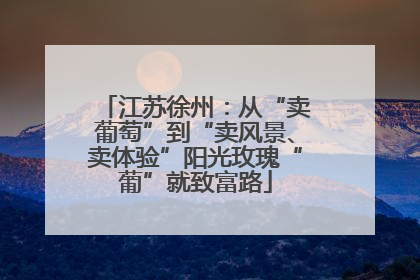 江苏徐州：从“卖葡萄”到“卖风景、卖体验”阳光玫瑰“葡”就致富路