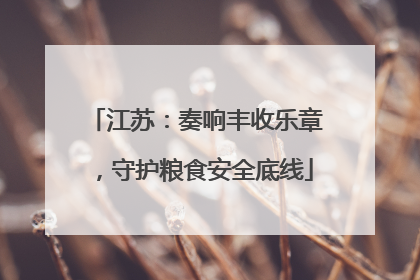江苏：奏响丰收乐章，守护粮食安全底线