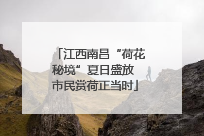 江西南昌“荷花秘境”夏日盛放 市民赏荷正当时