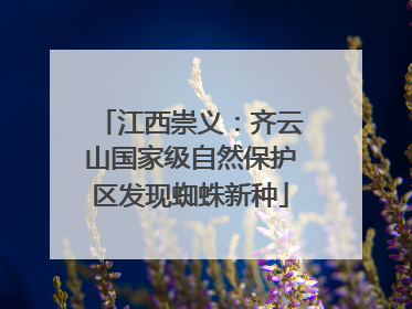 江西崇义：齐云山国家级自然保护区发现蜘蛛新种