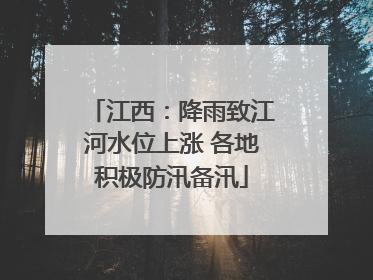 江西：降雨致江河水位上涨 各地积极防汛备汛