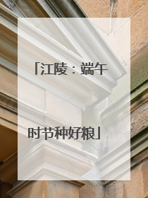 江陵：端午时节种好粮