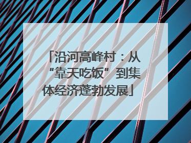 沿河高峰村：从“靠天吃饭”到集体经济蓬勃发展
