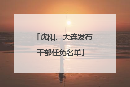 沈阳、大连发布干部任免名单