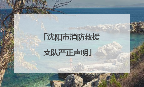 沈阳市消防救援支队严正声明