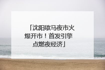 沈阳歇马夜市火爆开市！首发引擎点燃夜经济
