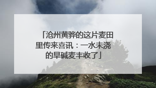 沧州黄骅的这片麦田里传来喜讯：一水未浇的旱碱麦丰收了