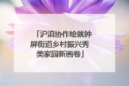 沪滇协作绘就钟屏街道乡村振兴秀美家园新画卷
