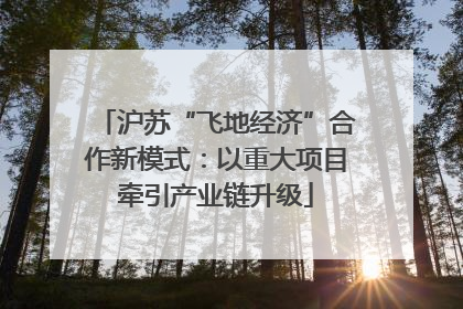 沪苏“飞地经济”合作新模式：以重大项目牵引产业链升级